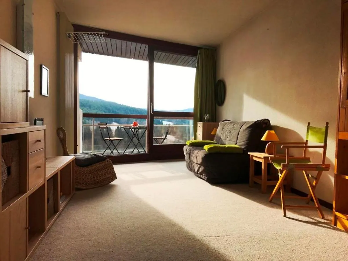 Apartment Studio Villard-De-Lans, 1 Piece, 4 Personnes - Fr-1-689-60 France